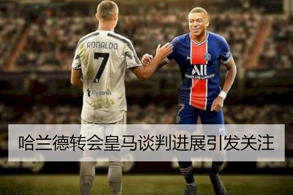 哈兰德转会皇马谈判进展引发关注