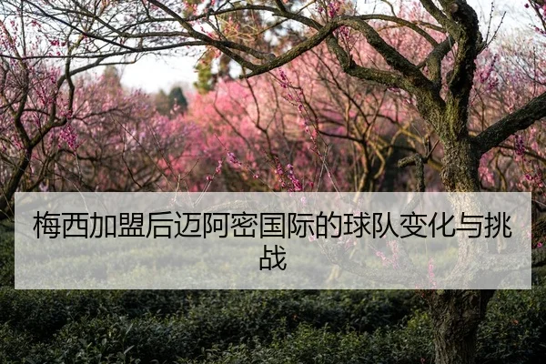 梅西加盟后迈阿密国际的球队变化与挑战