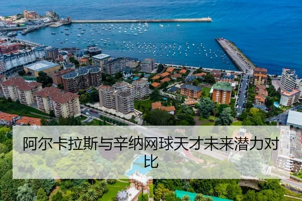 a-er-ka-la-si-yu-xin-na-wang-qiu-tian-cai-wei-lai-qian-li-dui-bi-2-574.jpg